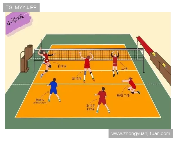 杭州排球队战术配合分析与团队协作提升探讨 杭州排球队战术配合分析与团队协作提升探讨