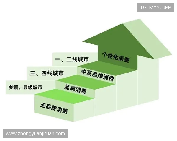 独家解读:WE力量对比背后的深层次影响与启示 独家解读:WE力量对比背后的深层次影响与启示