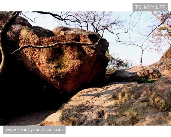 杭州攀岩队区域防守新策略探索与实践分析